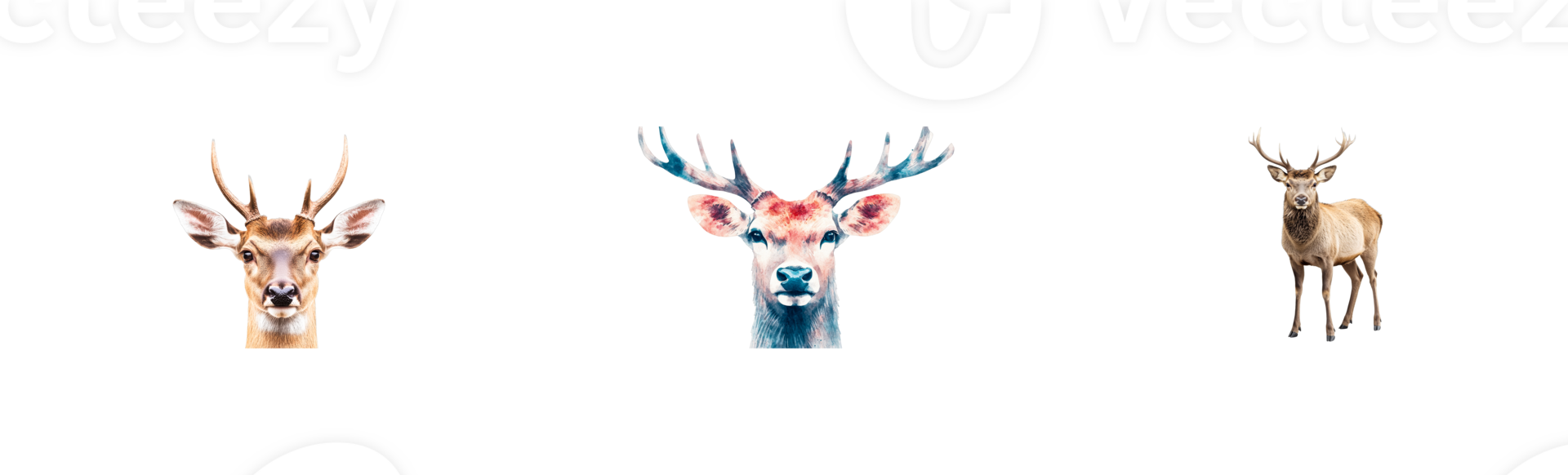 Deer portraits in realistic and watercolor style, cut out transparent png