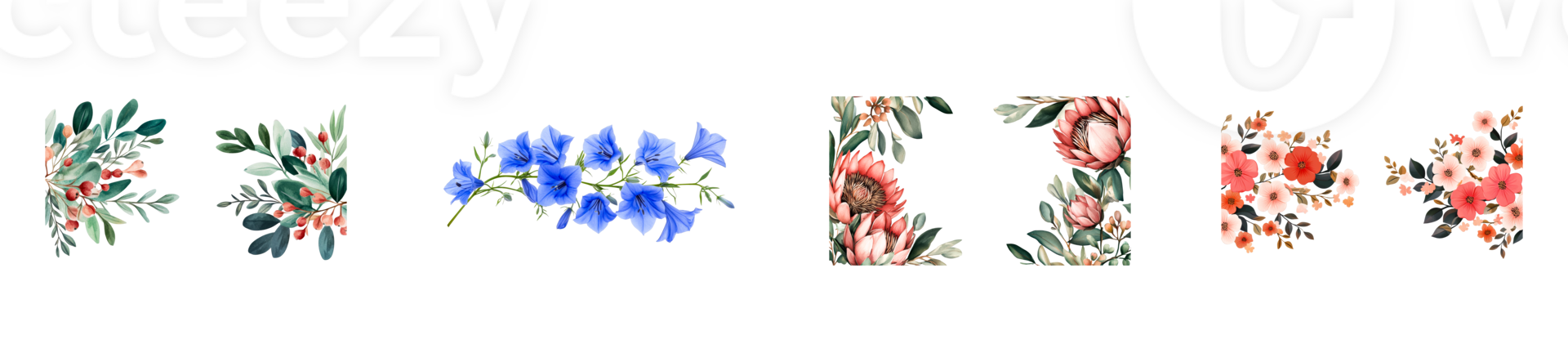 Watercolor floral arrangements with protea and berries ,cut out transparent png
