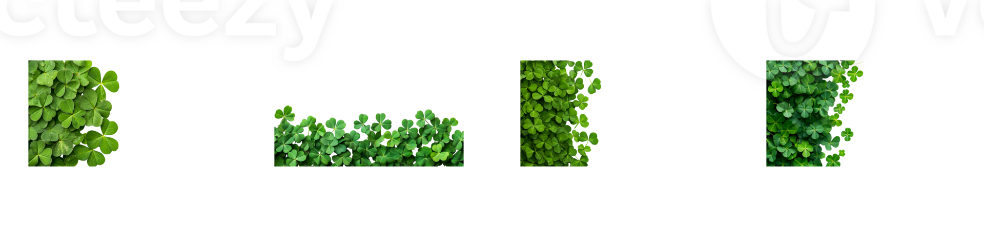 Four Leaf Clover Frame, isolated, symbol of luck, cut out transparent png
