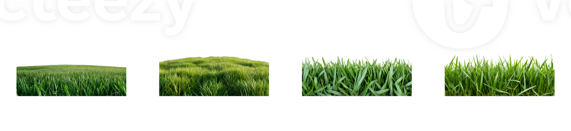 Lush grass stages, green growth, farming, plants, meadow, cut out transparent png