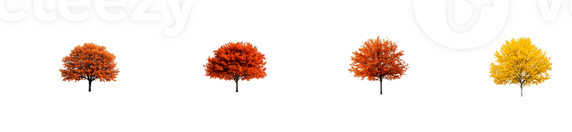 Vivid Autumnal Trees with Colorful Foliage, cut out transparent png