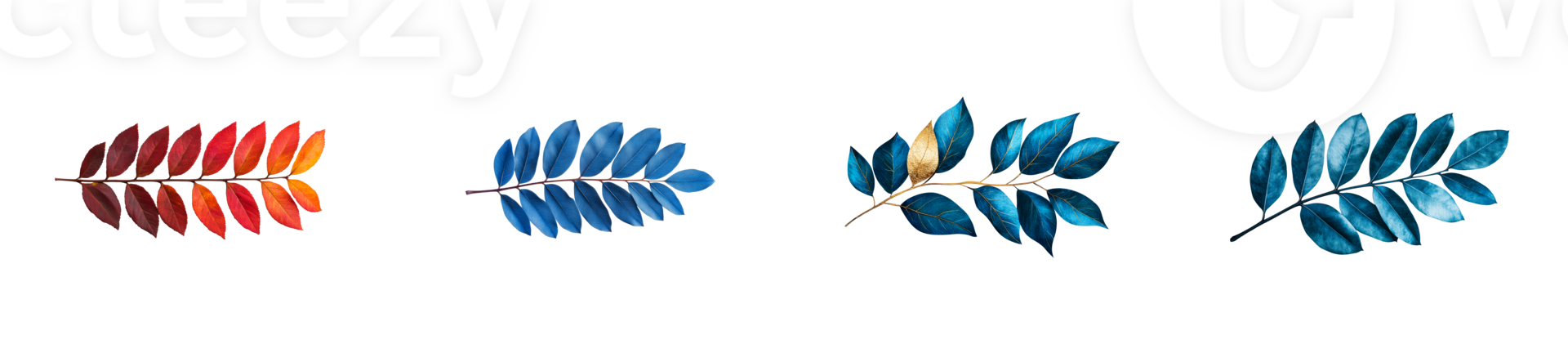 Colorful leaves in row on black background, leaf, plants, cut out transparent png