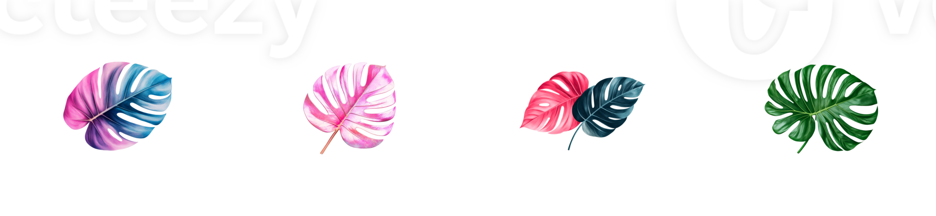 Tropical monstera leaf set, vibrant colors on black background, cut out transparent png