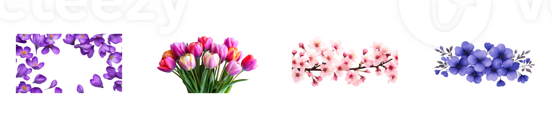 Floral Arrangement with Crocuses, Tulips, Sakura, and Petunias, cut out transparent png