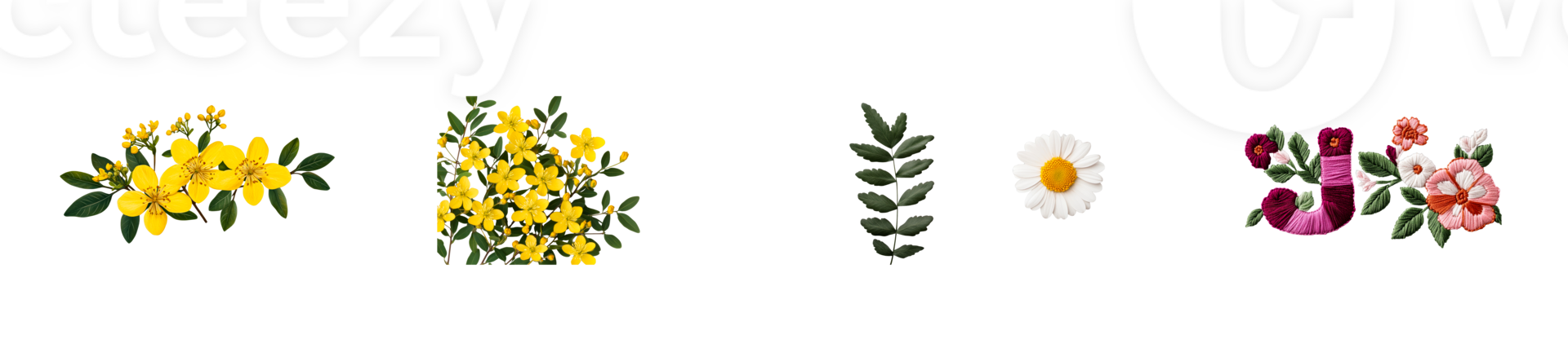 Assorted floral elements on black backdrop for design needs, cut out transparent png