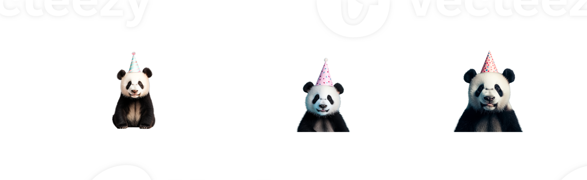 Pandas wearing party hats at a birthday celebration, cut out transparent png