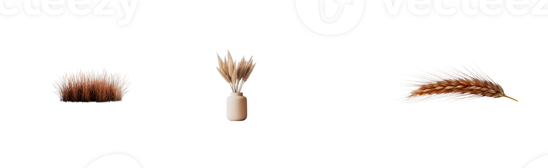 Decorative dry grass elements with vase, cut out transparent png