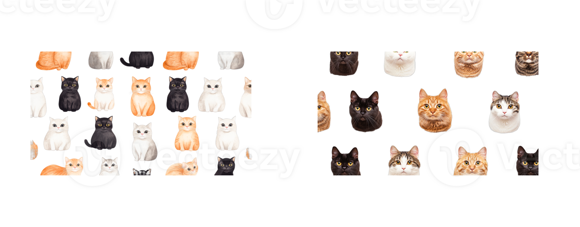 Different cats with diverse colors and poses, cut out transparent png