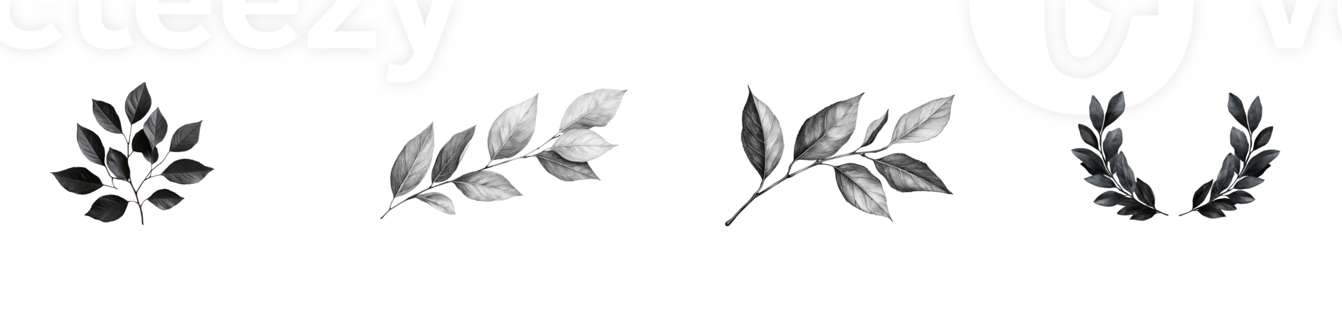Botanical foliage collection, leafy branches on black background, cut out transparent png