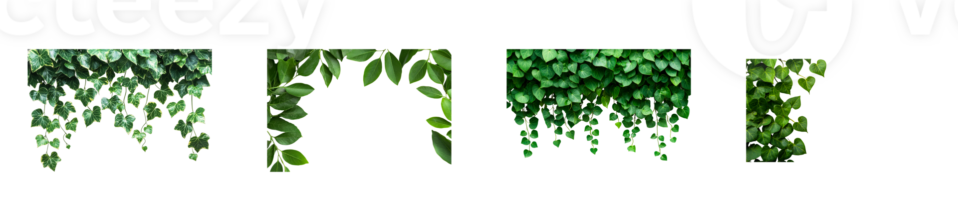 Green foliage of tropical plants, cut out transparent png