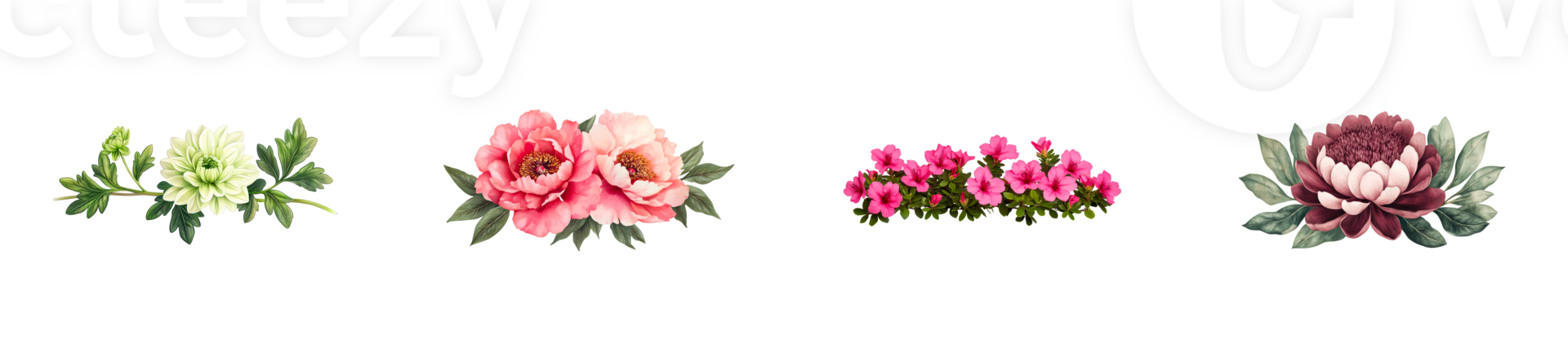 Collection of vibrant spring flowers with transparent background png