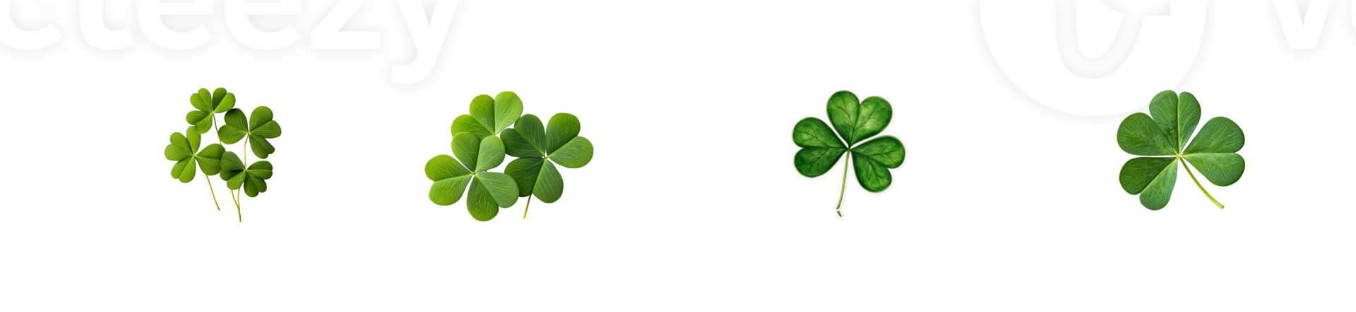Collection of four green clovers with transparent background png