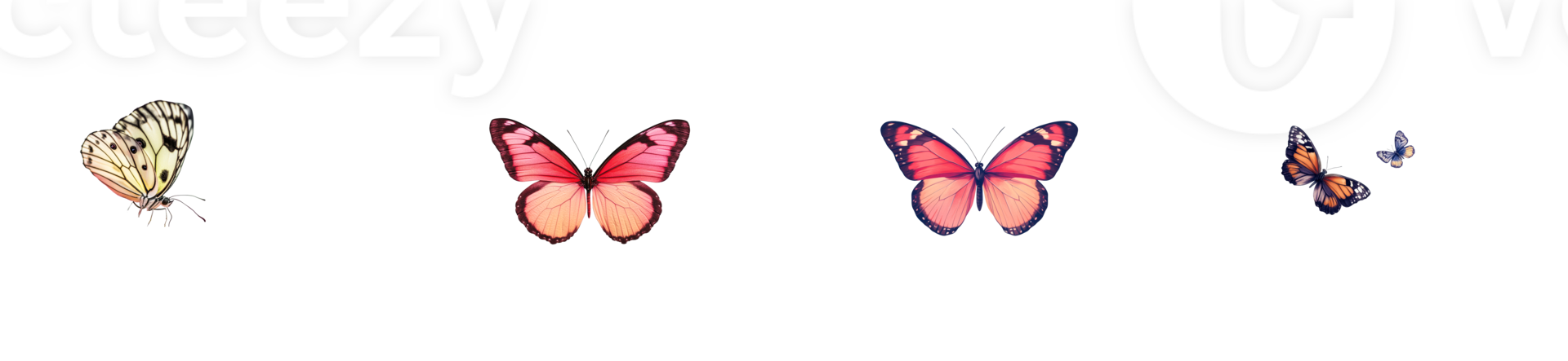 Butterflies in various colors and styles on a transparent background png