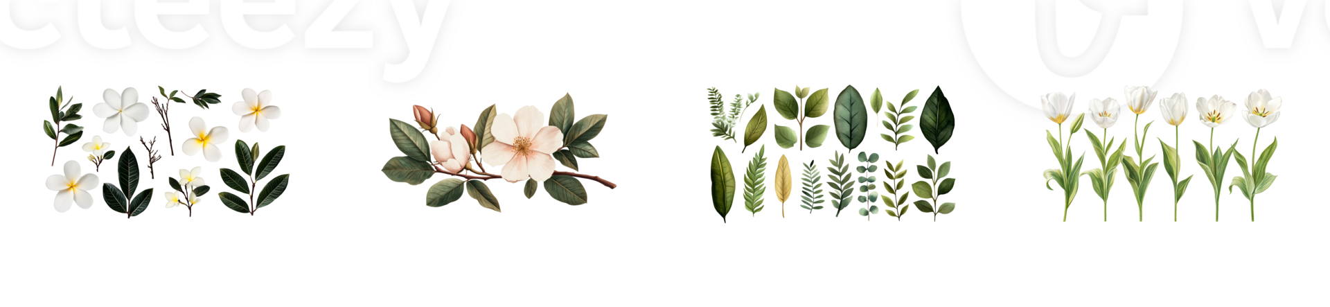 Floral and green leaf elements for design, decoration, and crafts png