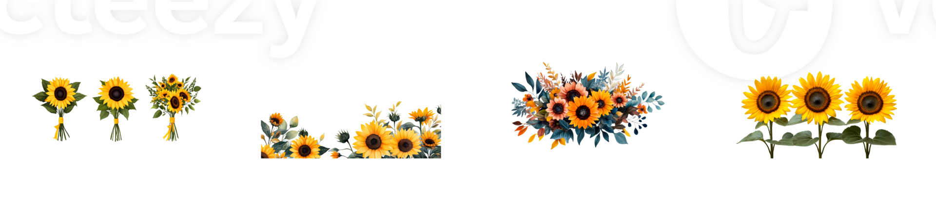 Sunflower arrangements with vibrant colors on transparent background png