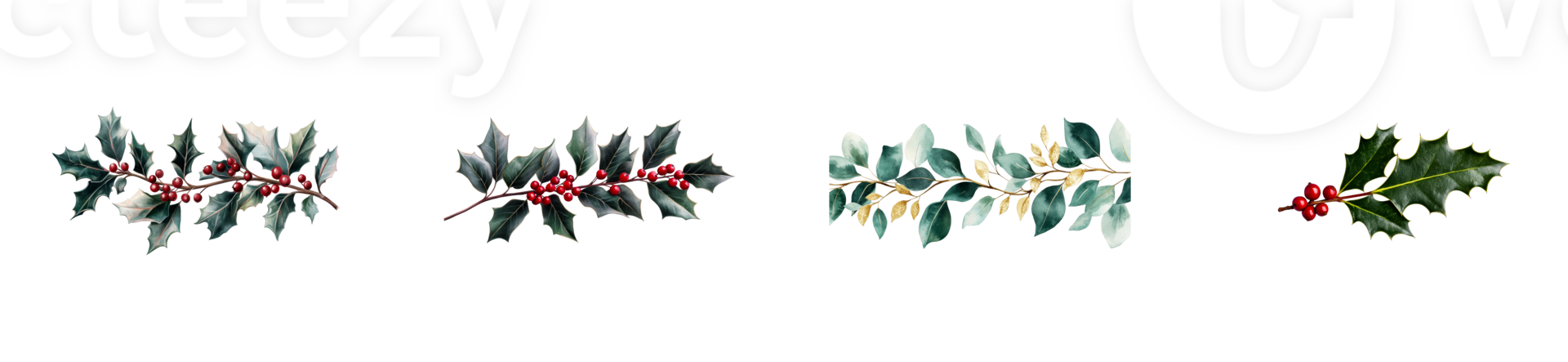 Decorative holly branches with berries on a transparent background png