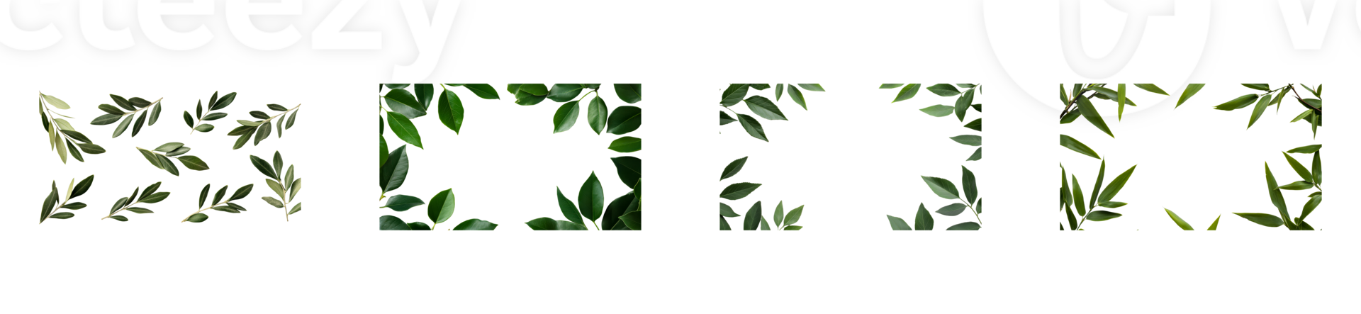Rectangular green leaves on a clear background png