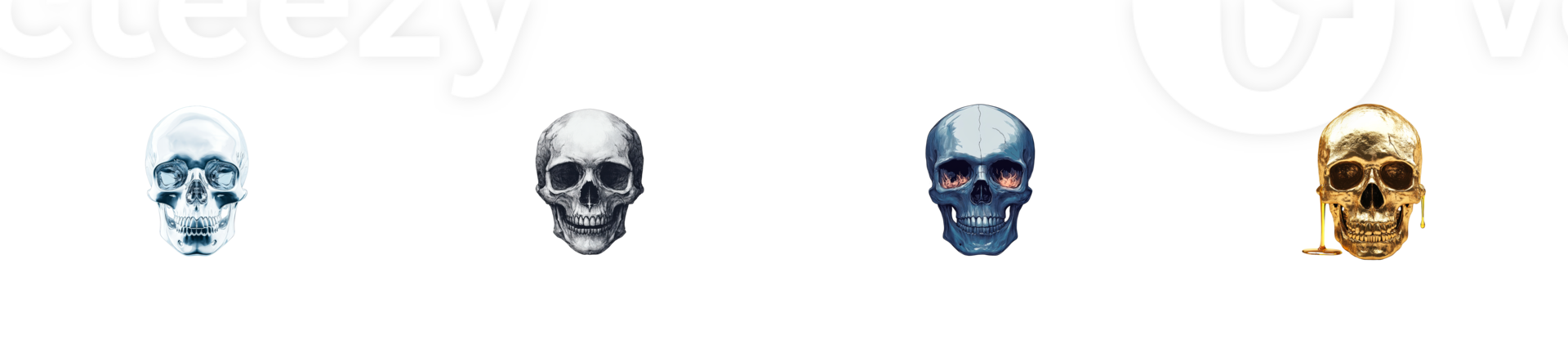 Different skull designs with a transparent background for creative use png