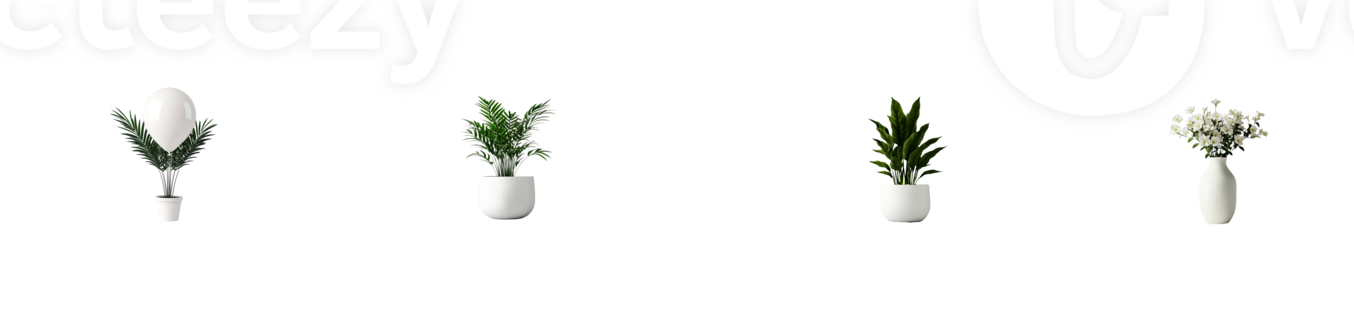 Stylish indoor plants in white pots for modern decor png