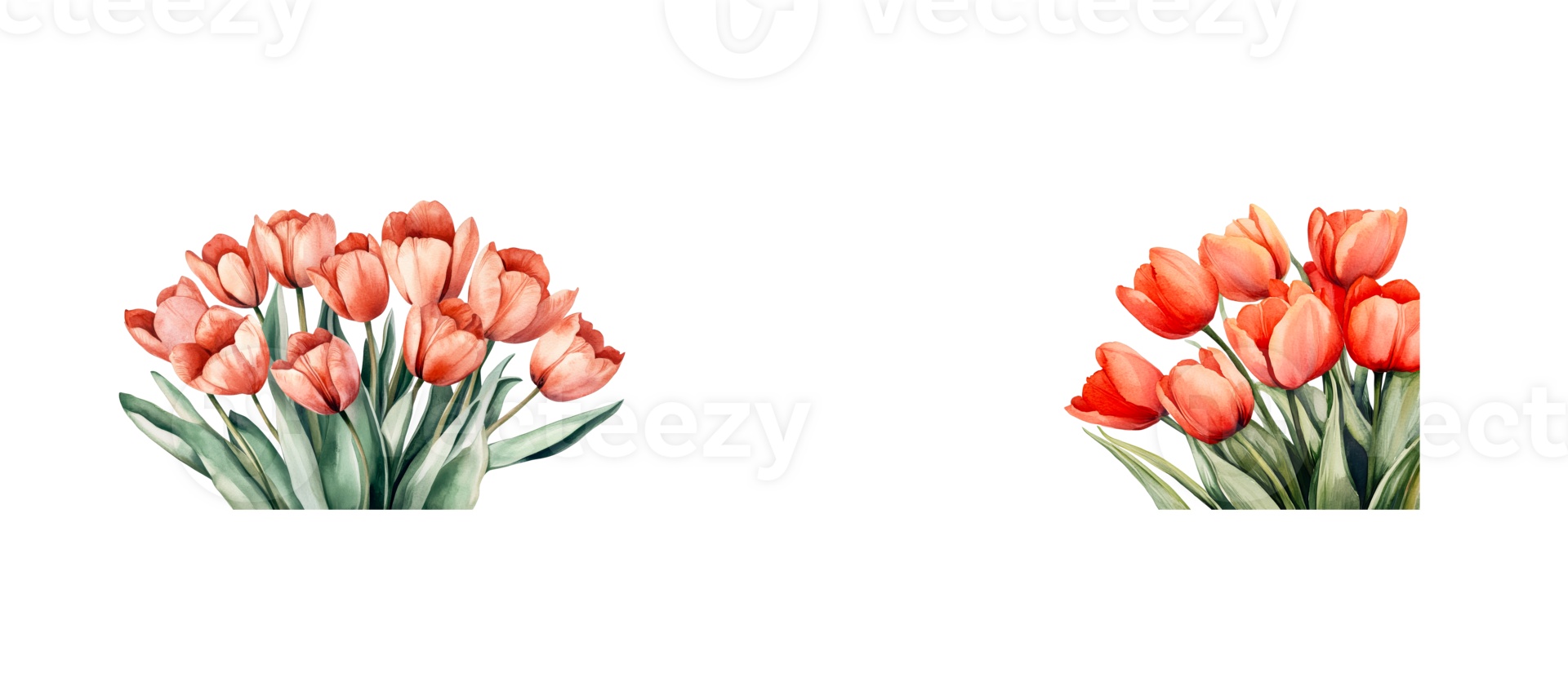 Bright red tulips arranged with lush green leaves for decoration png