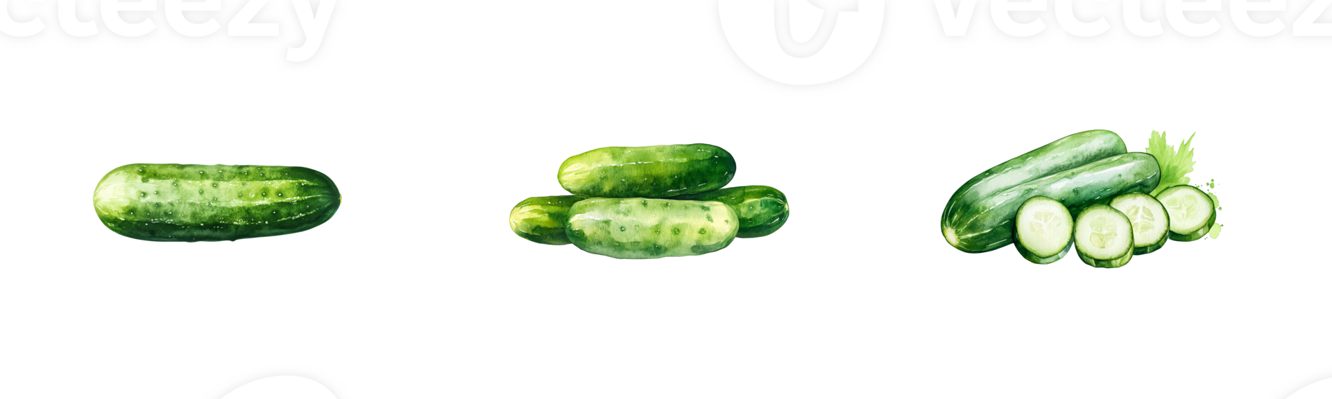 Cucumbers shown in different arrangements on clear backdrop png