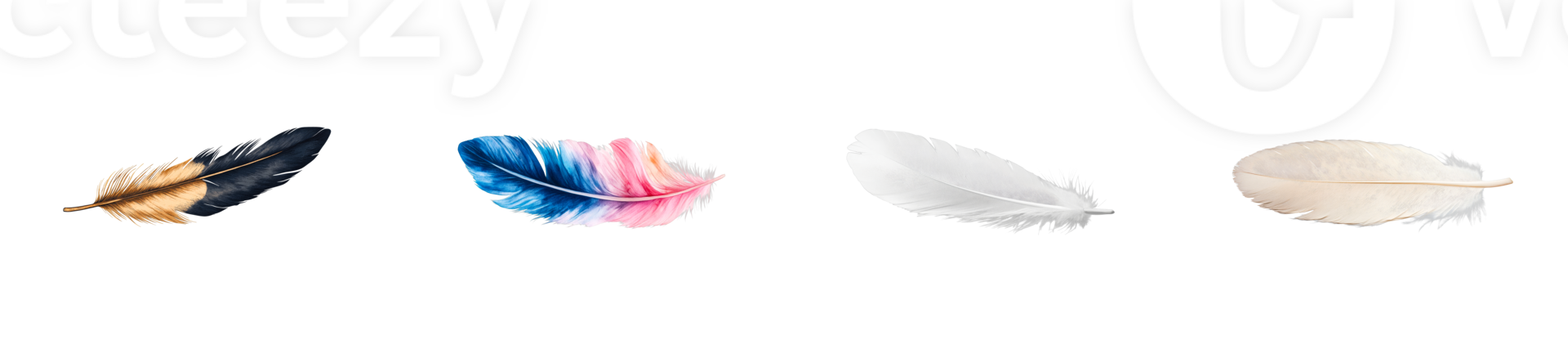 Colorful feathers with transparent background for creative projects png