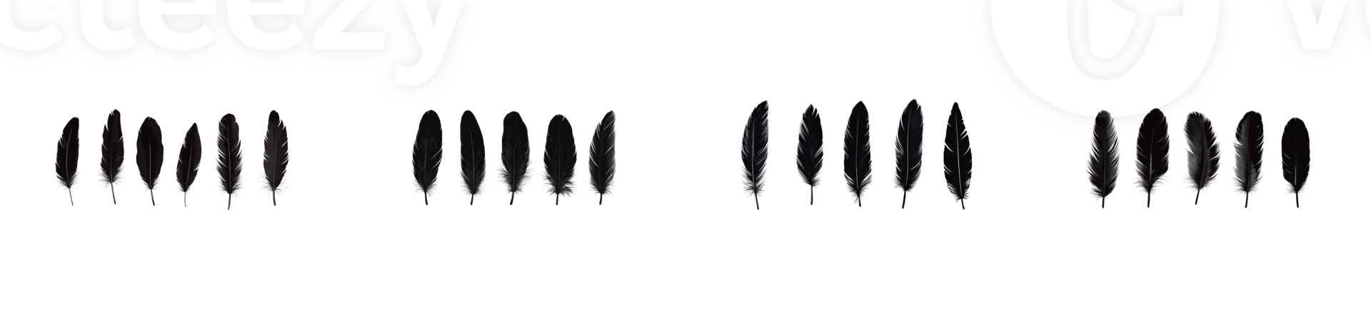 Display of black feathers arranged in a neat horizontal pattern png