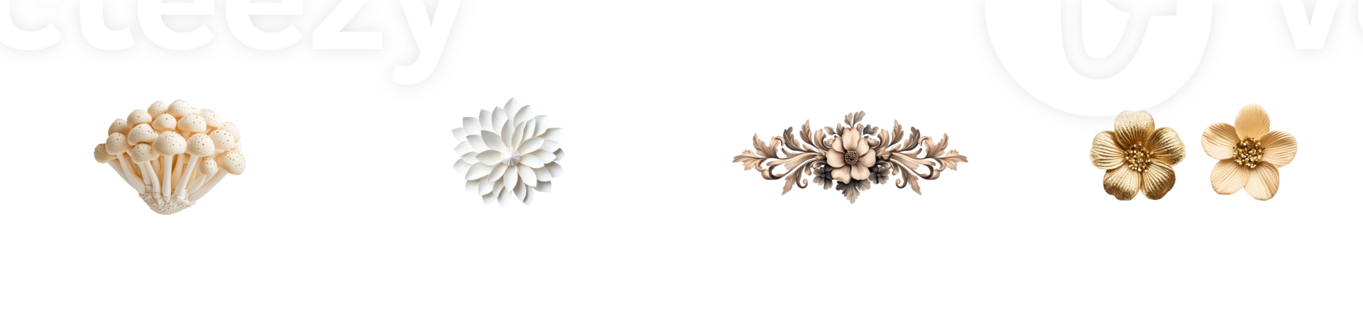 Decorative floral elements in neutral tones on transparent background png