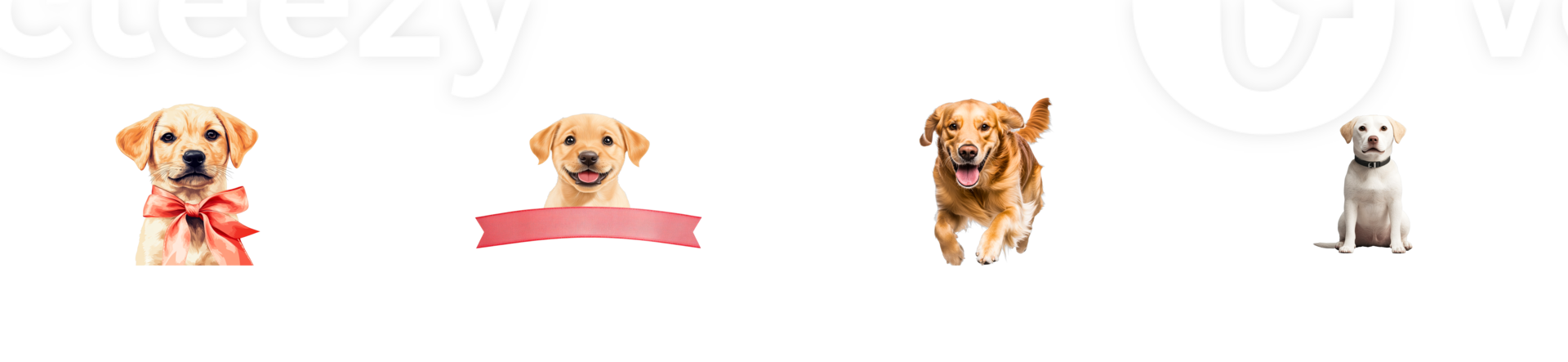 Happy dogs with playful expressions on a transparent background png