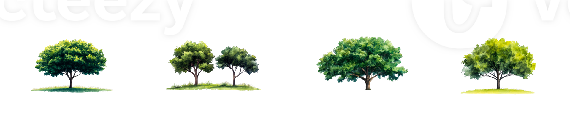 Different types of trees on a transparent background png