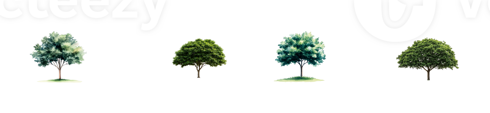 Four distinct trees with varying types of foliage stand together png