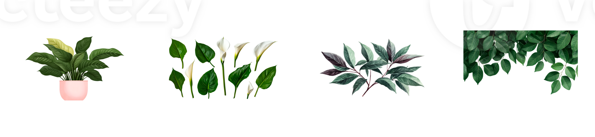 Showcase of indoor plants with transparent background for design png