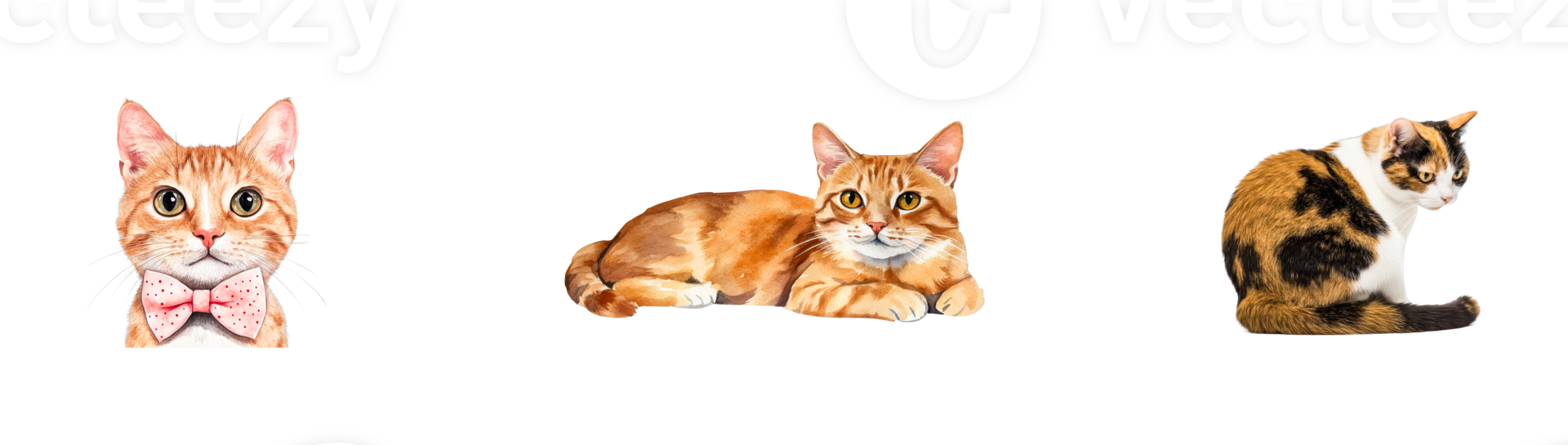 Cats with various expressions on transparent background png