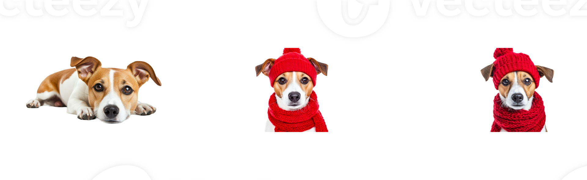 Stylish dog in warm winter attire with cheerful expression png