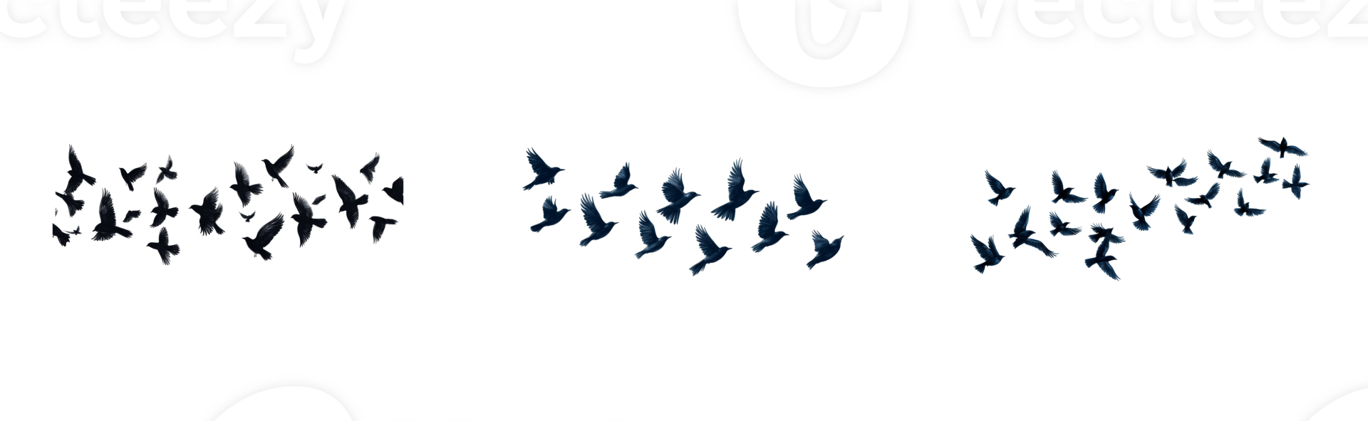 Birds flying in formations on a transparent background png