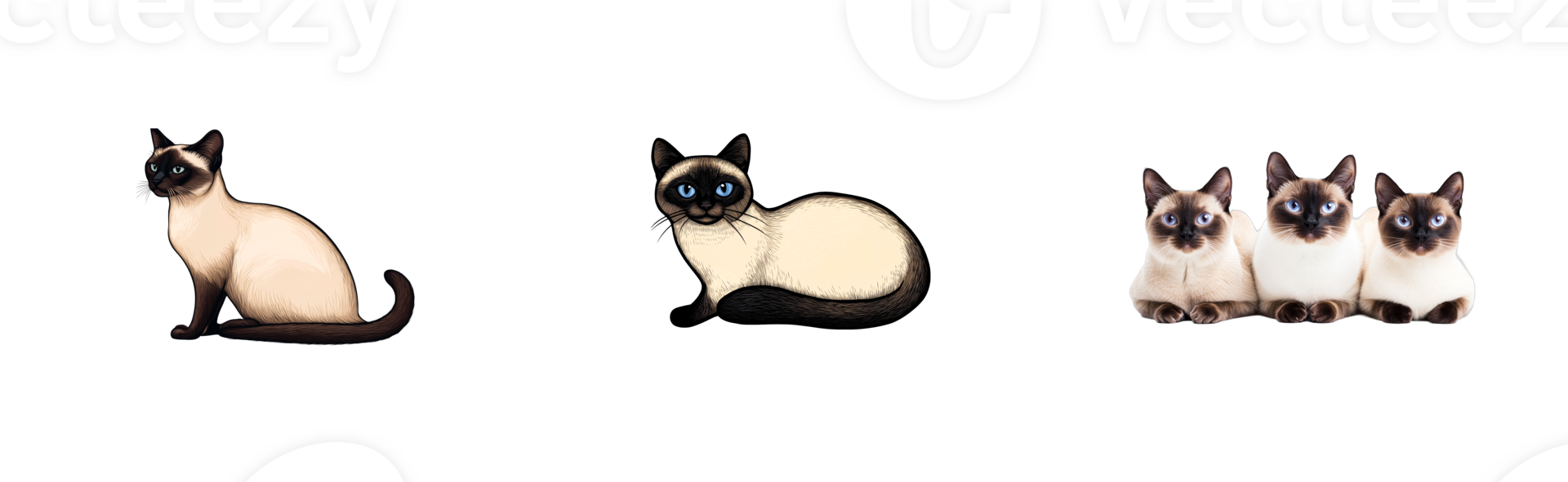 Three unique Siamese cats with distinct expressions and poses png