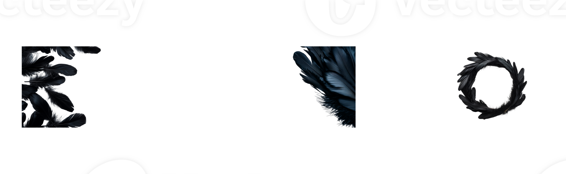 Black decorative feathers in various shapes on a clear background png