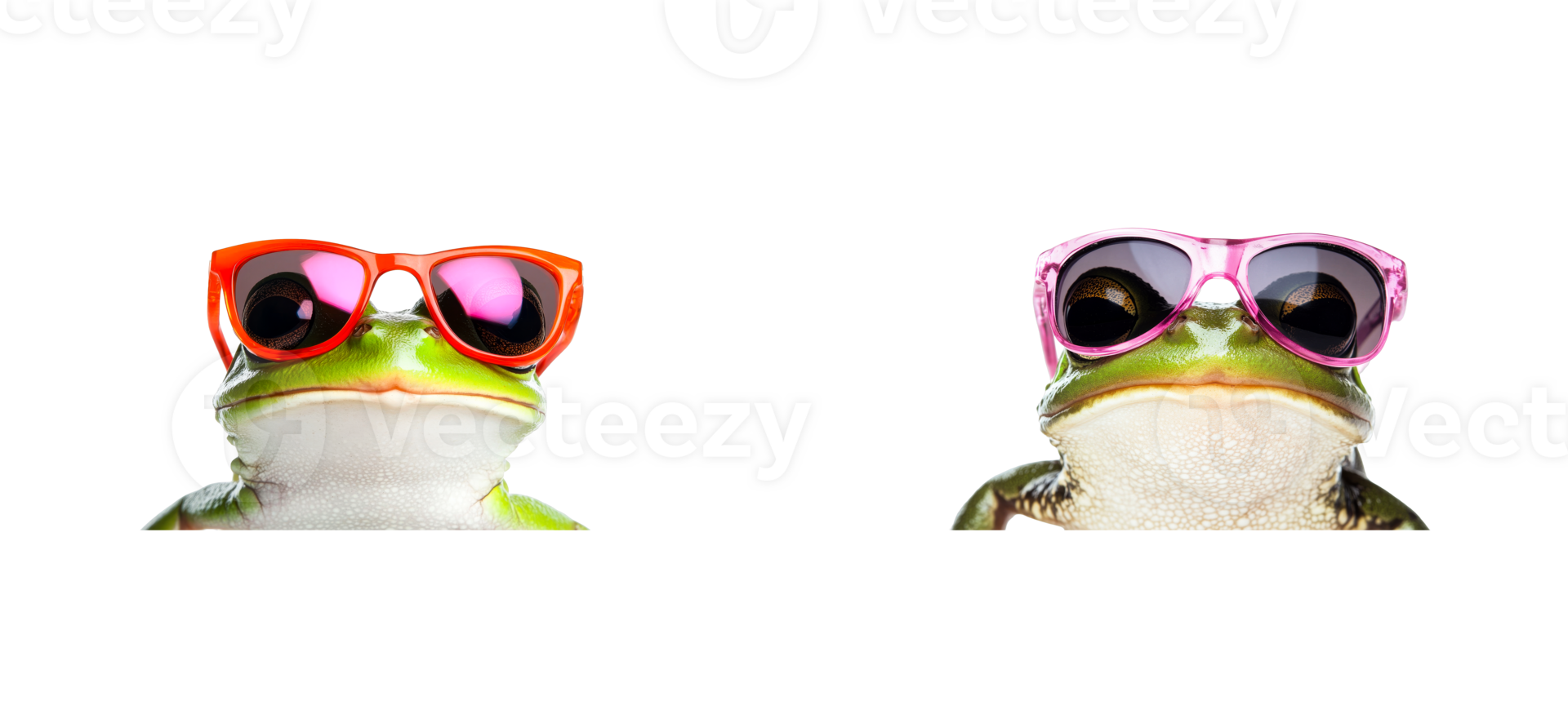 Frogs wearing sunglasses on transparent background for fun display png