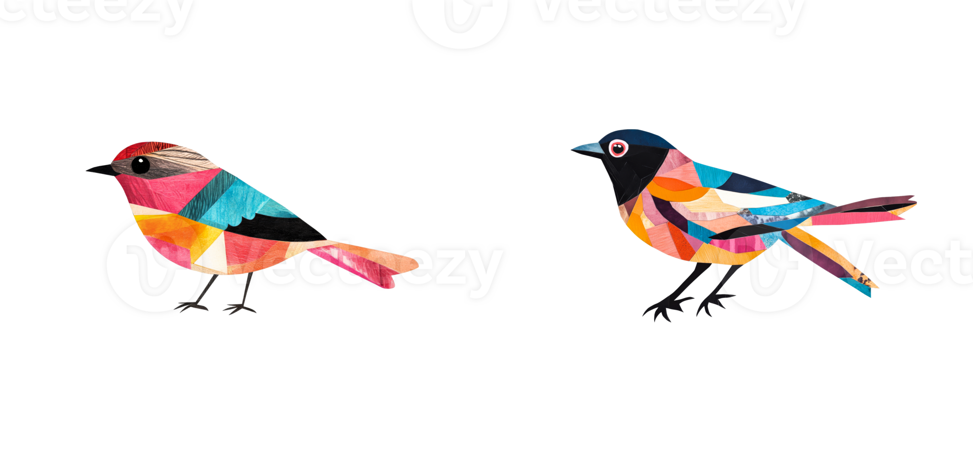 Colorful birds with geometric patterns on a transparent background png