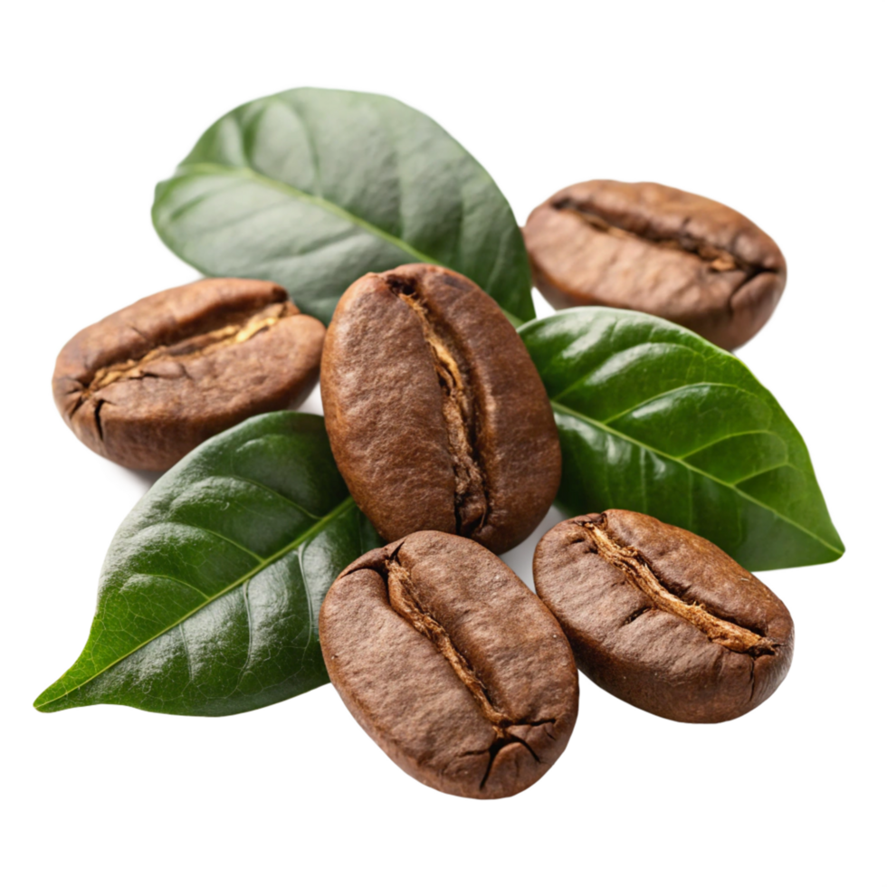 Coffee Beans Close Up with Fresh Green Leaves png