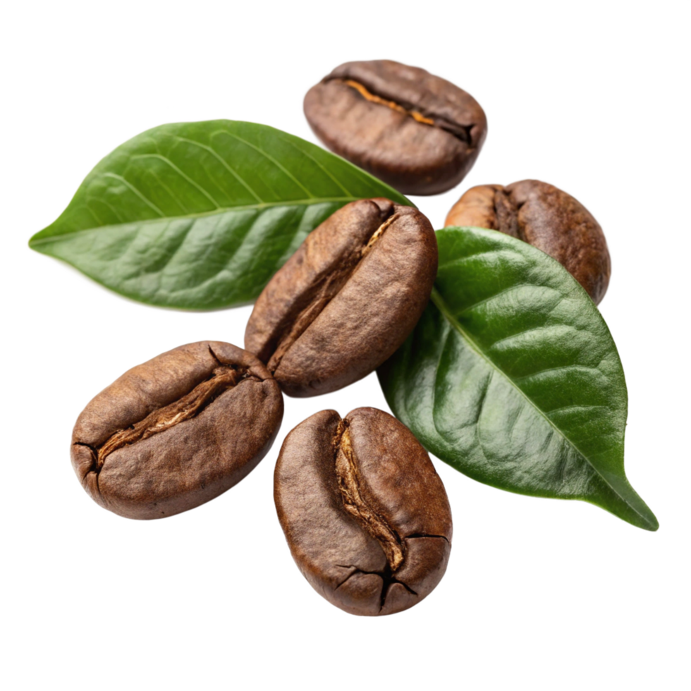 Coffee Beans with Green Leaves, Closeup, Studio Shot png