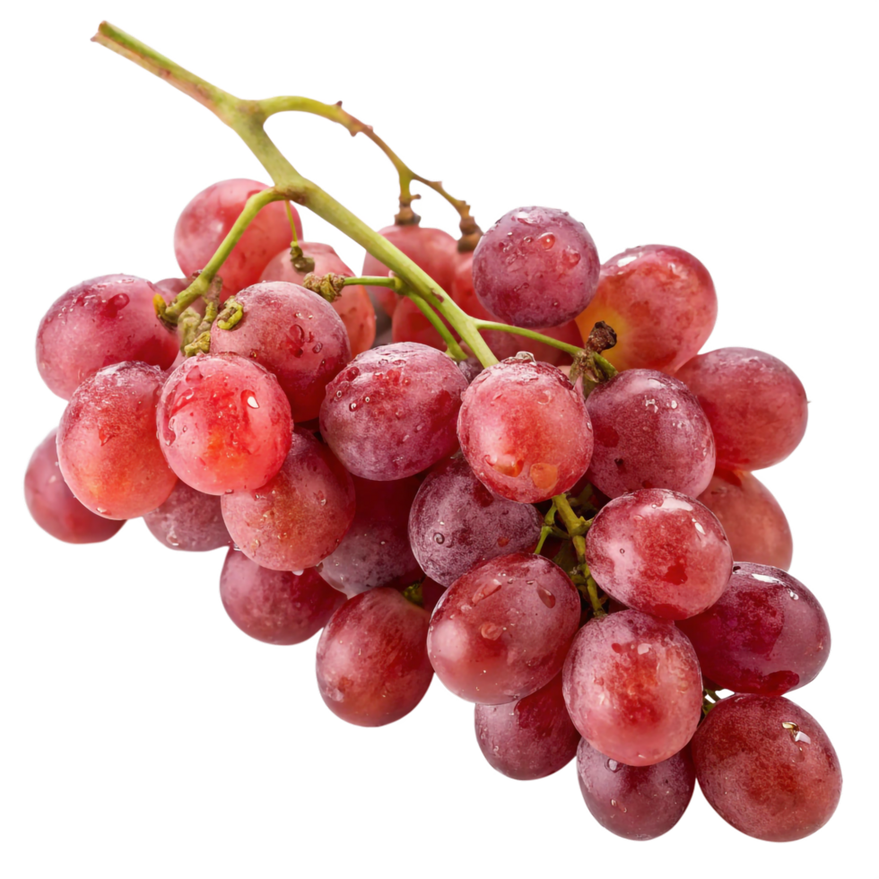 Fresh Red Grapes Bunch Against with Water Droplets Closeup png