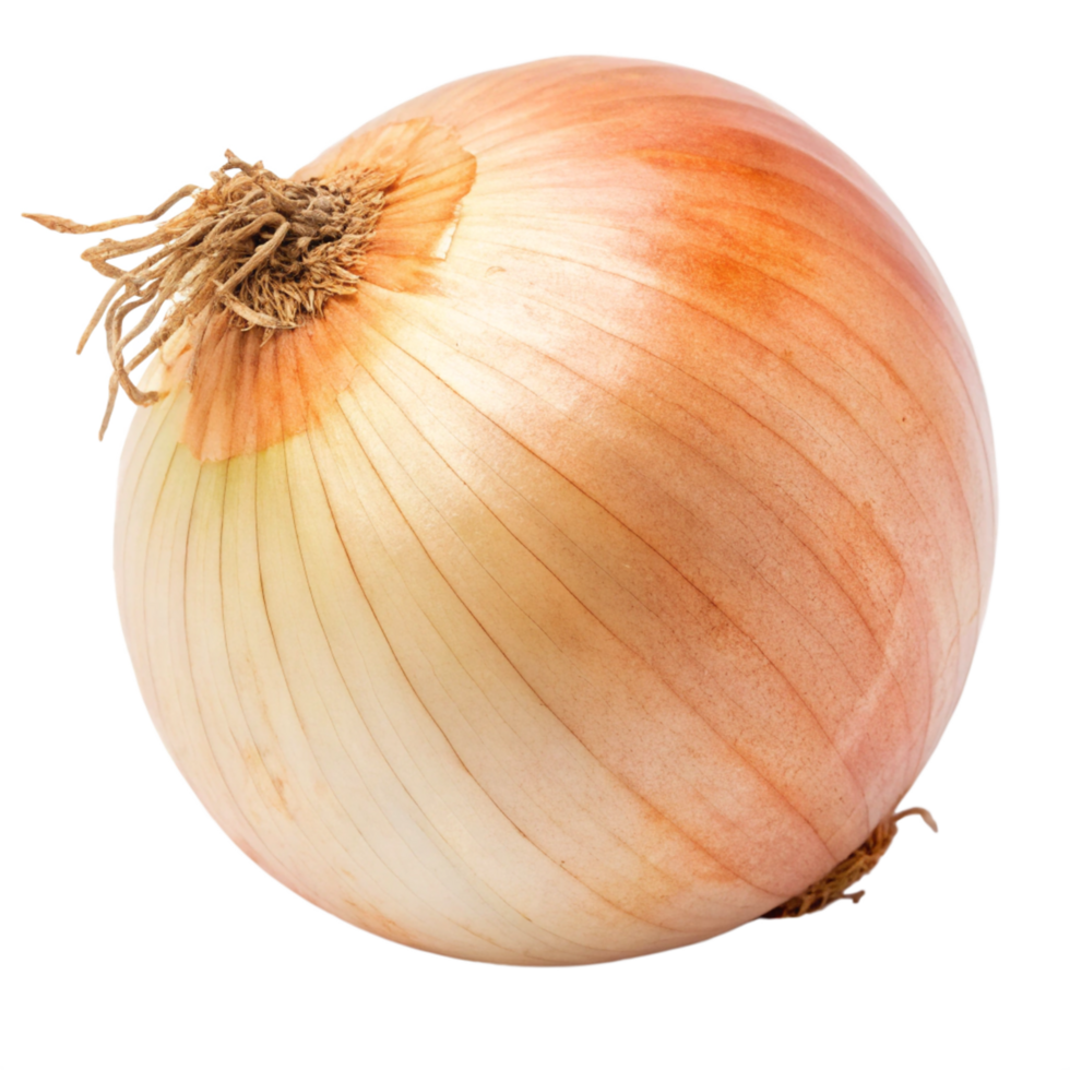 Fresh Golden Onion CloseUp Textured Skin, Root Details, and Culinary Ingredient png
