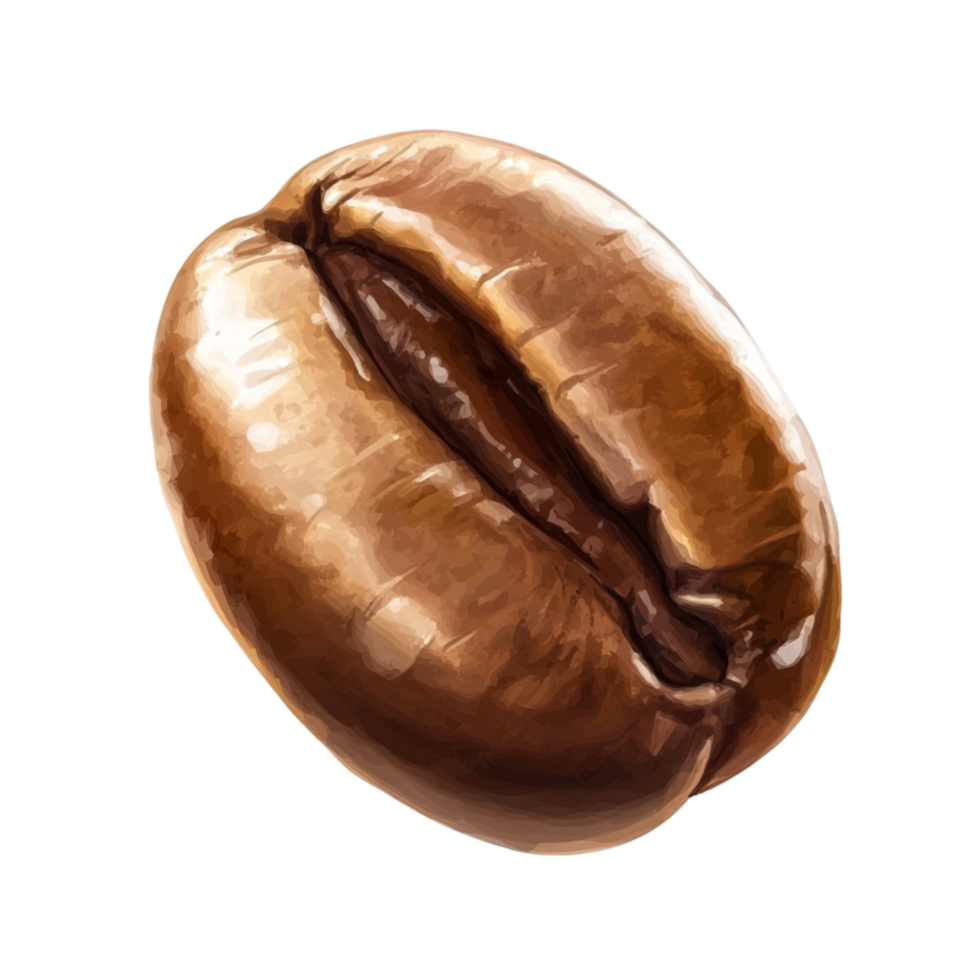 Coffee Bean Illustration Forming Artistic Shape On A Transparent Background png