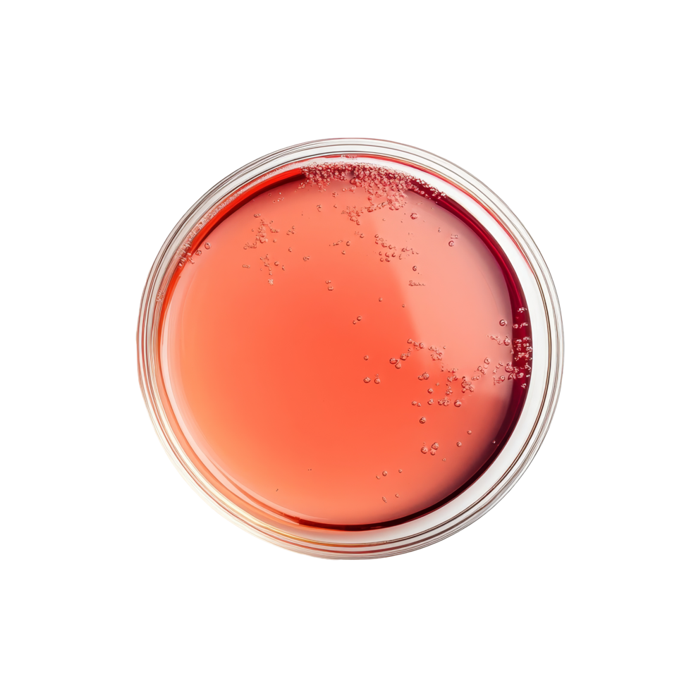 Vibrant liquid resting in a petri dish on a simple transparent background showcasing experimental biology, Liquid in petri dish over transparent background flat lay png