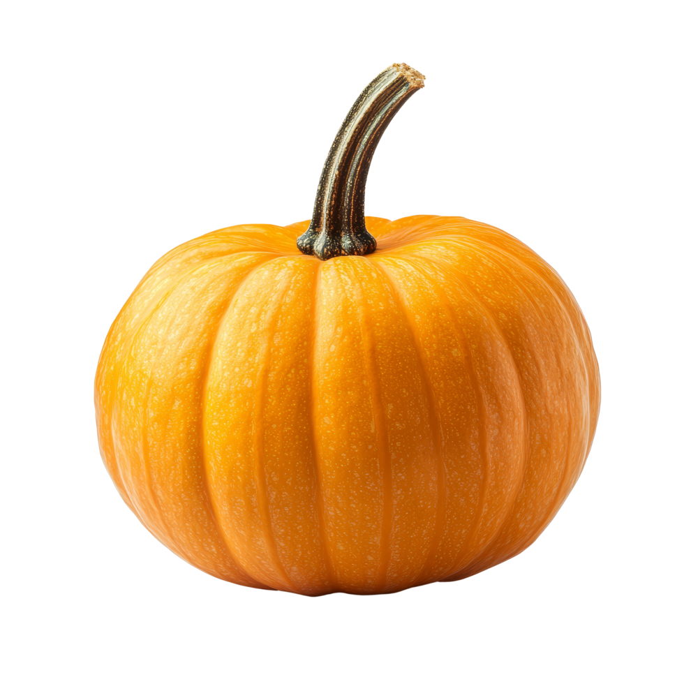 Bright orange pumpkin isolated on a transparent background, perfect for autumn decorations and Halloween celebrations, pumpkin isolated on transparent background png