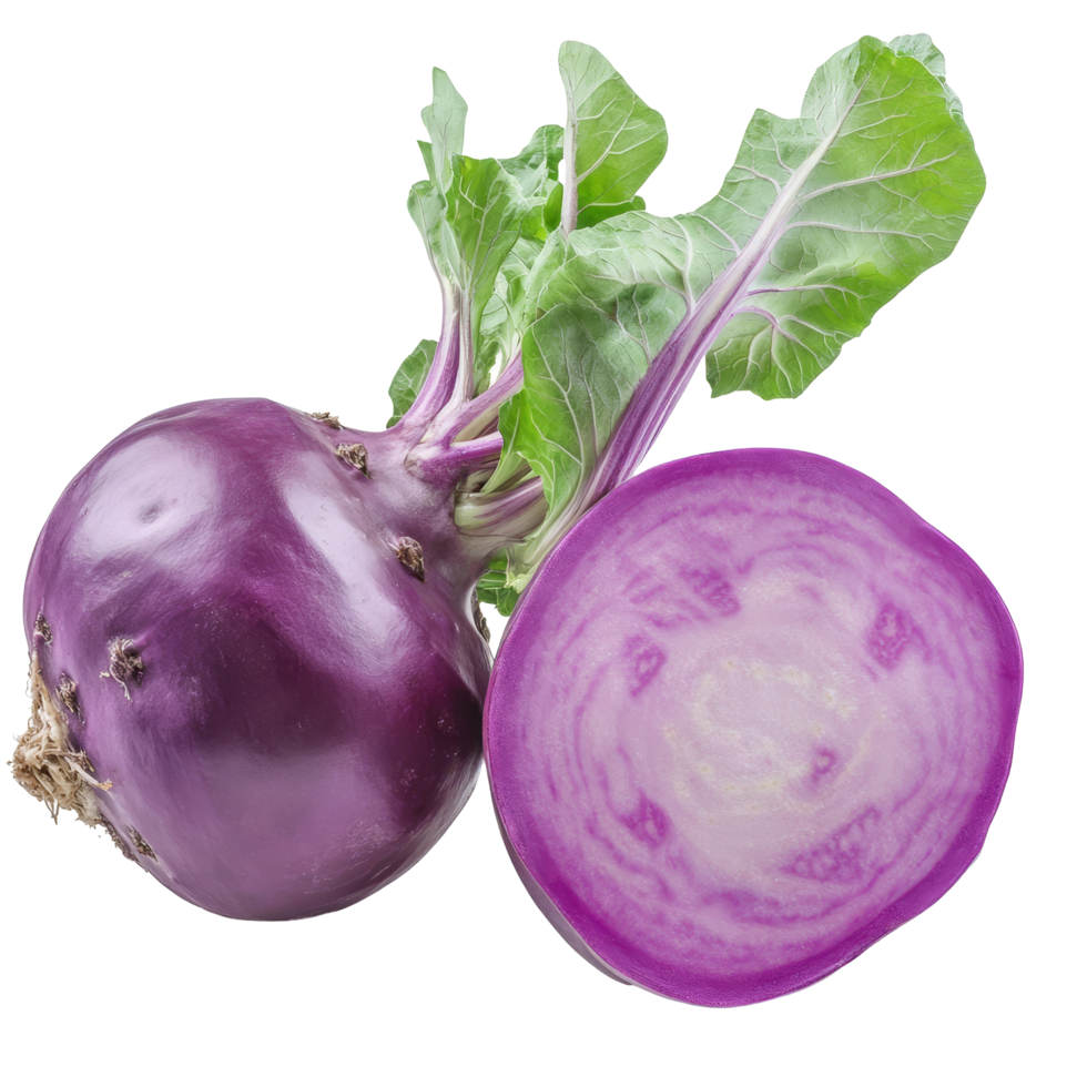 Fresh purple kohlrabi with vibrant green leaves isolated on a transparent background for culinary use and recipes, Purple kohlrabi isolated on transparent background png