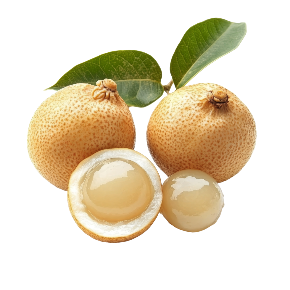 Fresh longan fruit displayed on a transparent background showcasing its unique texture and juicy interior, fresh longan isolated on transparent background png