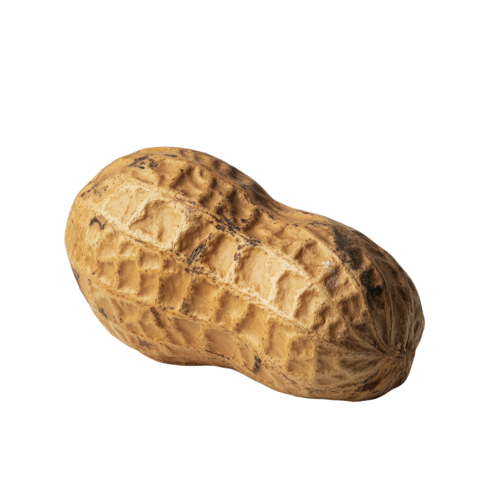 A single peanut isolated on a clean background showcasing its textured shell and organic shape, Single peanut isolated png
