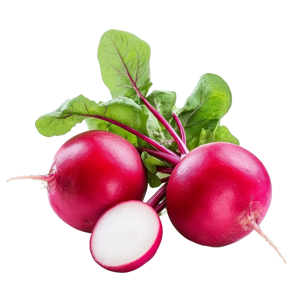 Fresh red radish with greens isolated on a transparent background showcasing vibrant colors and natural beauty, Fresh red radish isolated on transparent background png